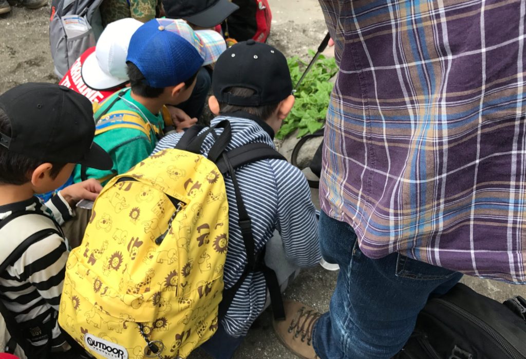 幼稚園の遠足で密かに調べたキッズ 子ども用リュックの人気 おすすめ １０ブランドをピックアップ Seipon Blog
